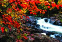 L’Ontario se dévoilera bientôt sous ses plus beaux atours