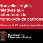 CarbonMonoxideAlarm_DiversityDigitalAd_300x250_noImage_FR (002)