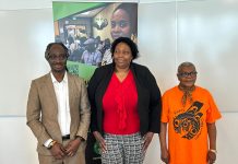 Système judiciaire : alerte sur la surreprésentation des personnes noires