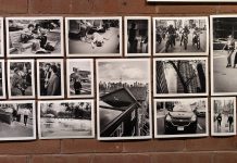 La nature torontoise exposée à l’Alliance française
