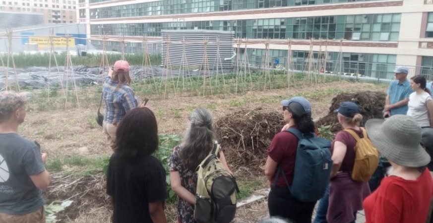 Visite de la ferme de TMU le 11 juin (Crédit : UOF)
