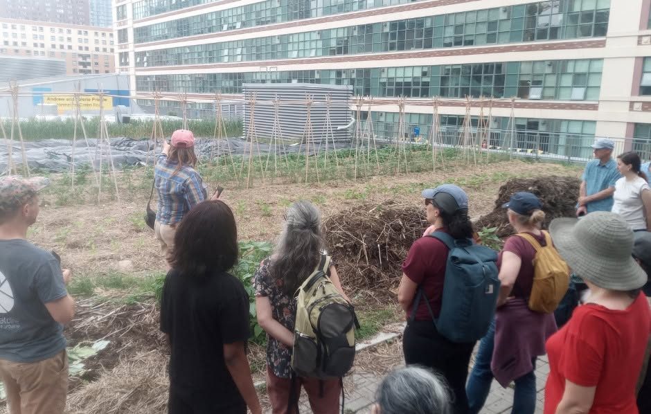 7208 Visite de la ferme de TMU le 11 juin (Crédit : UOF)